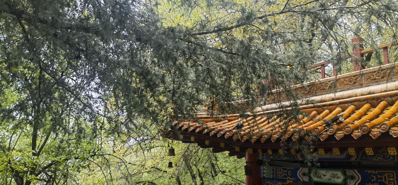 分享一张你去过的寺庙平凉.崇信.龙泉寺