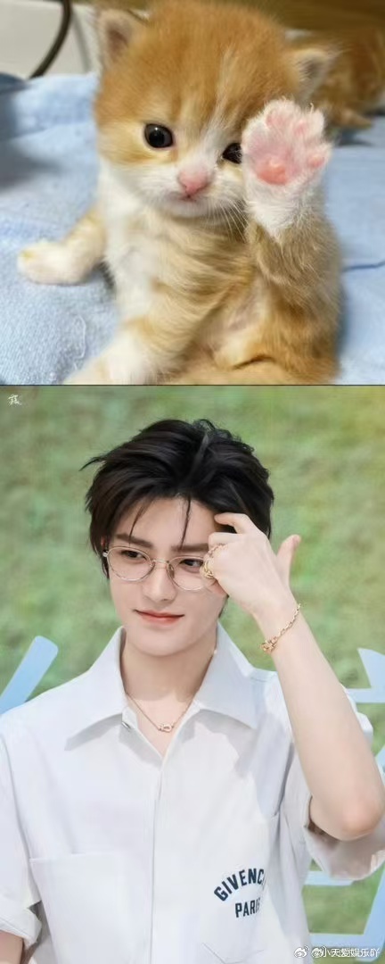 侯明昊银河左岸音乐节终于能在音乐节现场见到歌手侯明昊了，银河左岸这波阵容太可以，