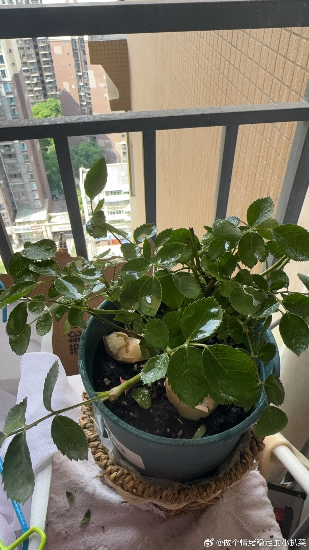 每日一善  日落是免费的，春夏秋冬也是，不要觉得人生是那么平淡，希望你快乐。我们