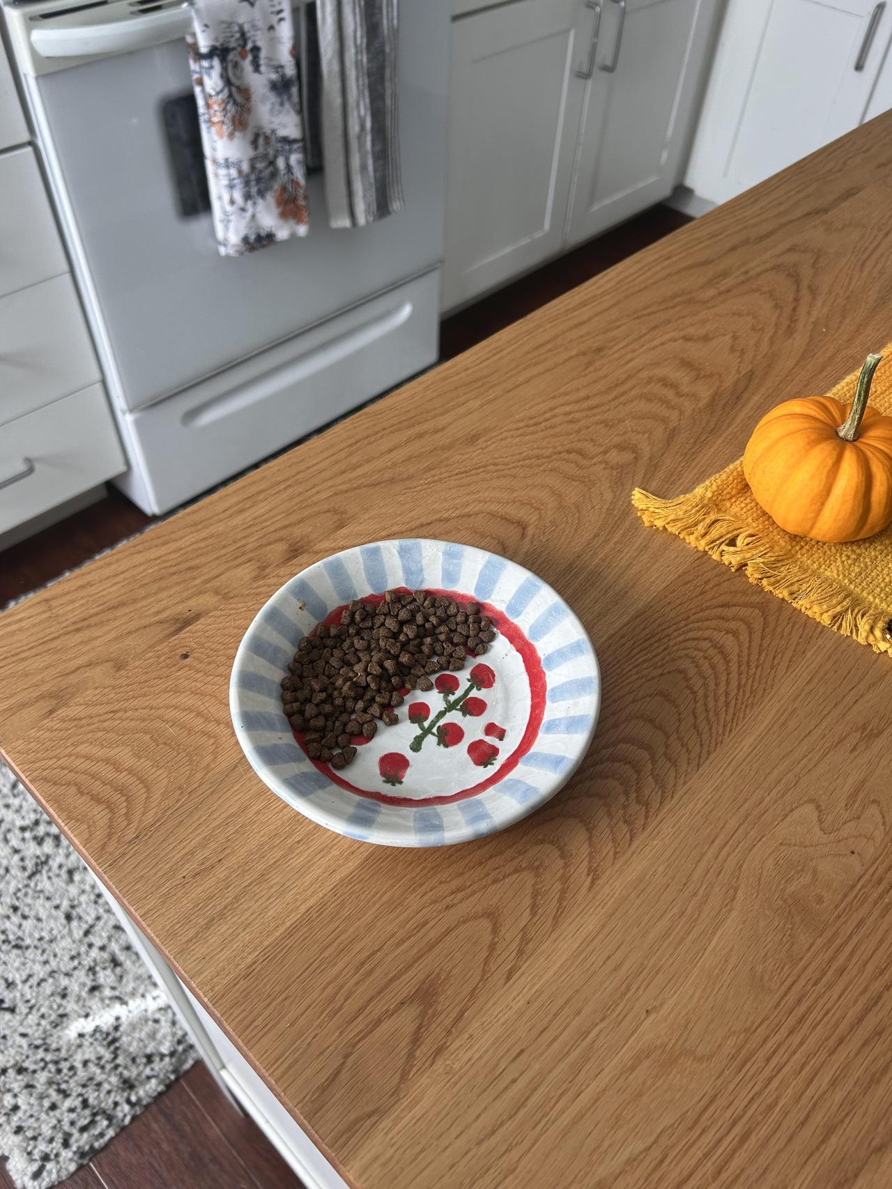 一只猫有个雷打不动的习惯，每顿饭都精准地只吃一半，剩下一半留给下一顿，碗里的分割
