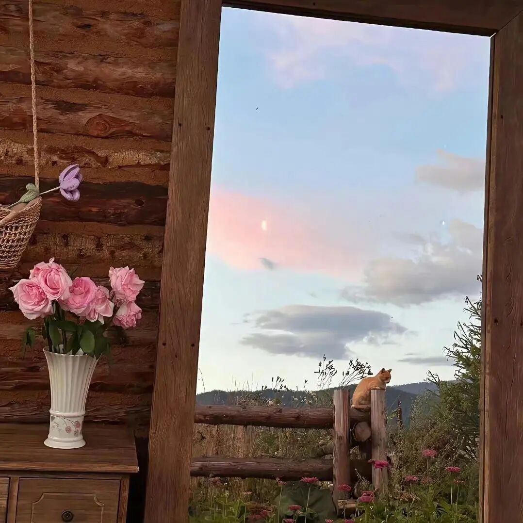 人生百味，随意随遇，自在安稳就好。 