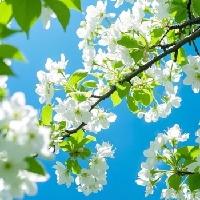 我的今日状态：😁轻松愉快
我这里的天气：☀️晴天