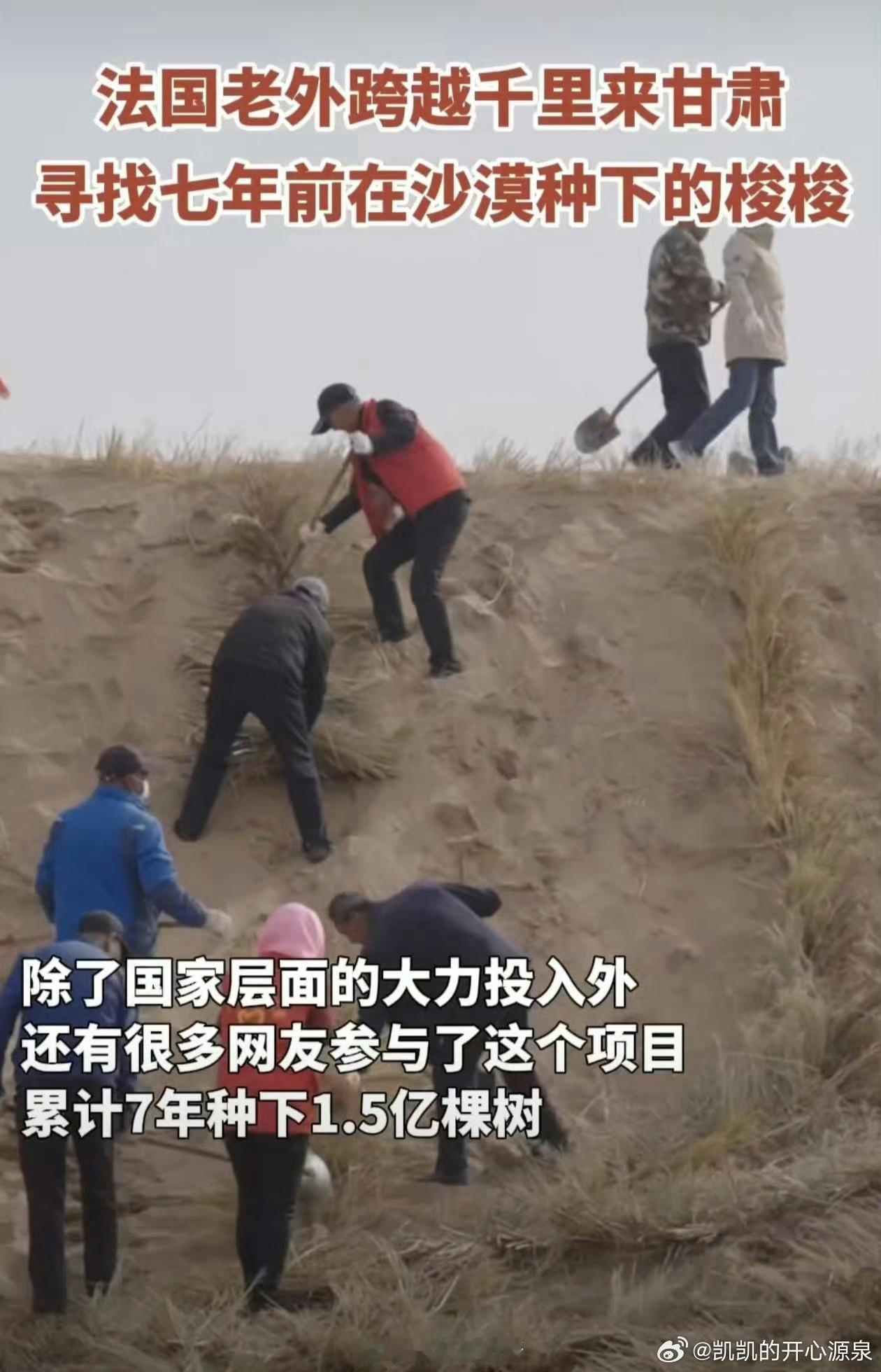 #法国人在中国寻找七年前种的树#沙漠治理的人真的会要付出很多，在我看来很辛苦，希
