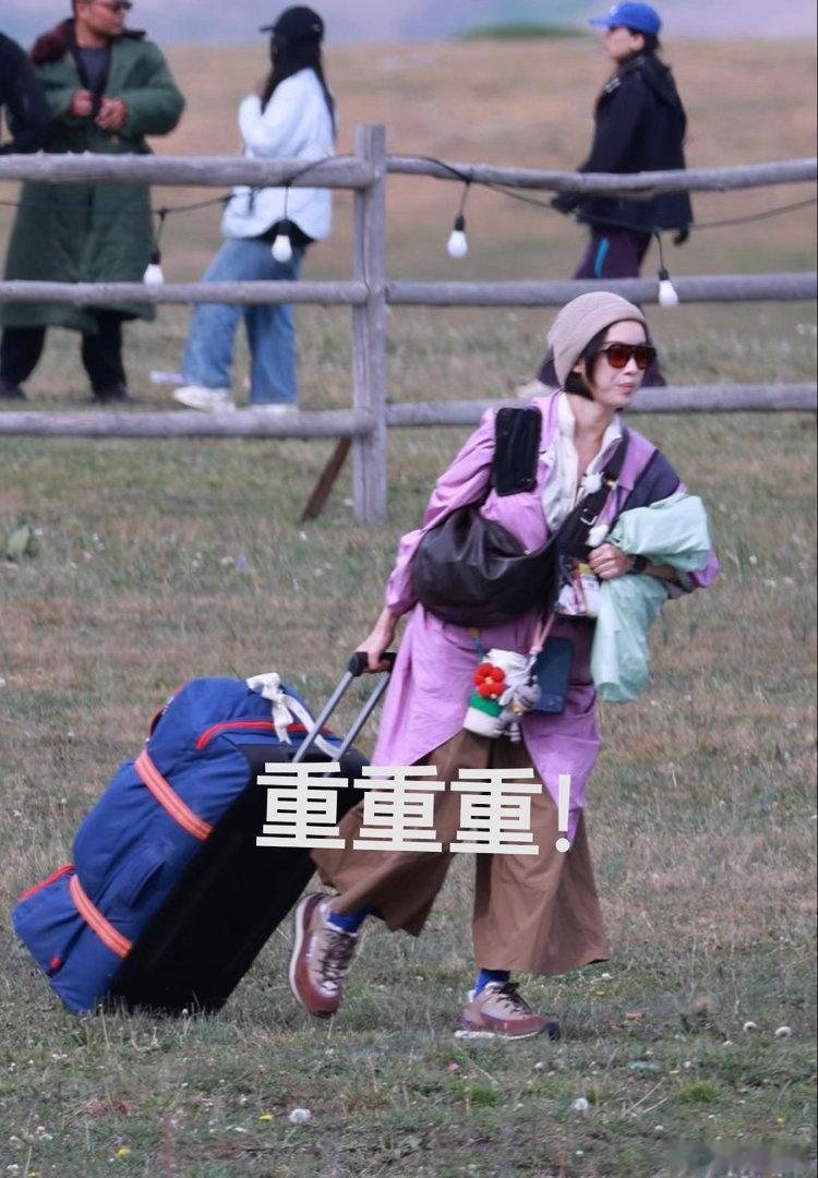 辛芷蕾一人带动全家入伍辛芷蕾入伍还有后续 笑疯了！辛芷蕾“入伍”还有后续？雷霆大