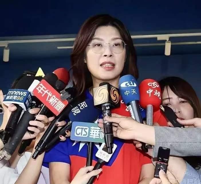 北京时间3月30日，中国台湾地区国民党主席郑丽文公开承认：将前往大陆出访，期待在