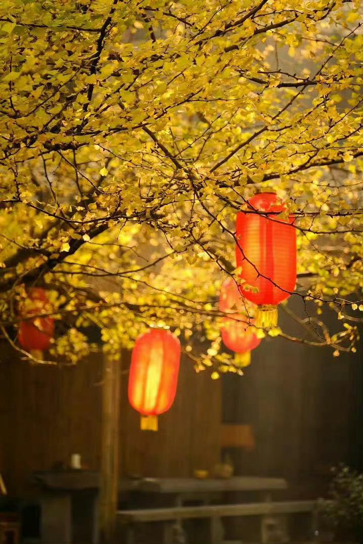 今年癸卯年岁运少火（即火运不及之年）。司天之气是阳明燥金，在泉之气是少阴君火。现