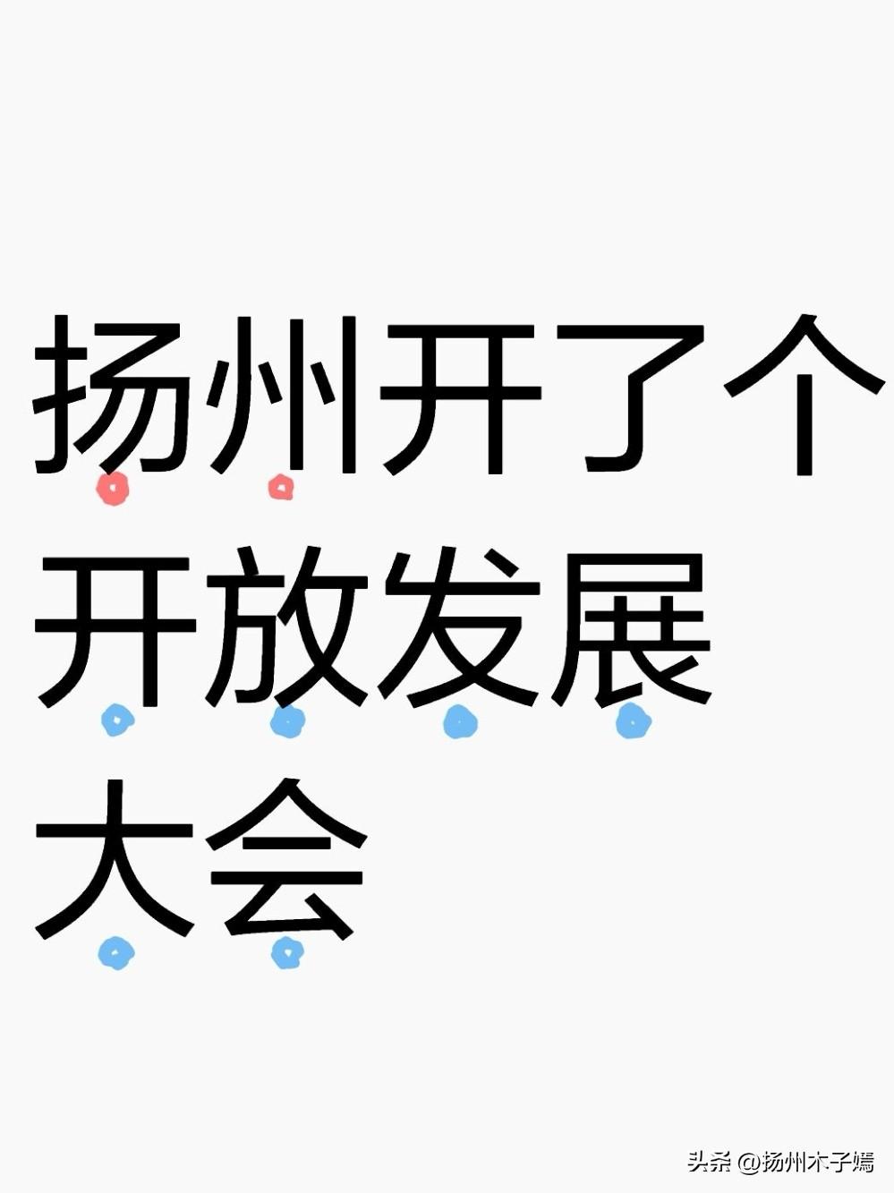 2026年3月28日上午，扬州全市开放发展大会重磅召开，市委书记王进健出席并讲话