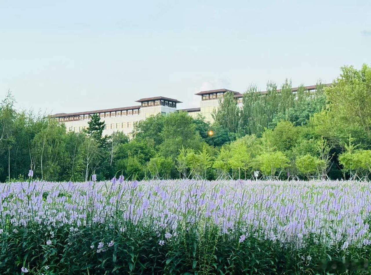 走进吉林大学，一城六校园，汇五校风华。
（2000年，原吉林大学、吉林工业大学、