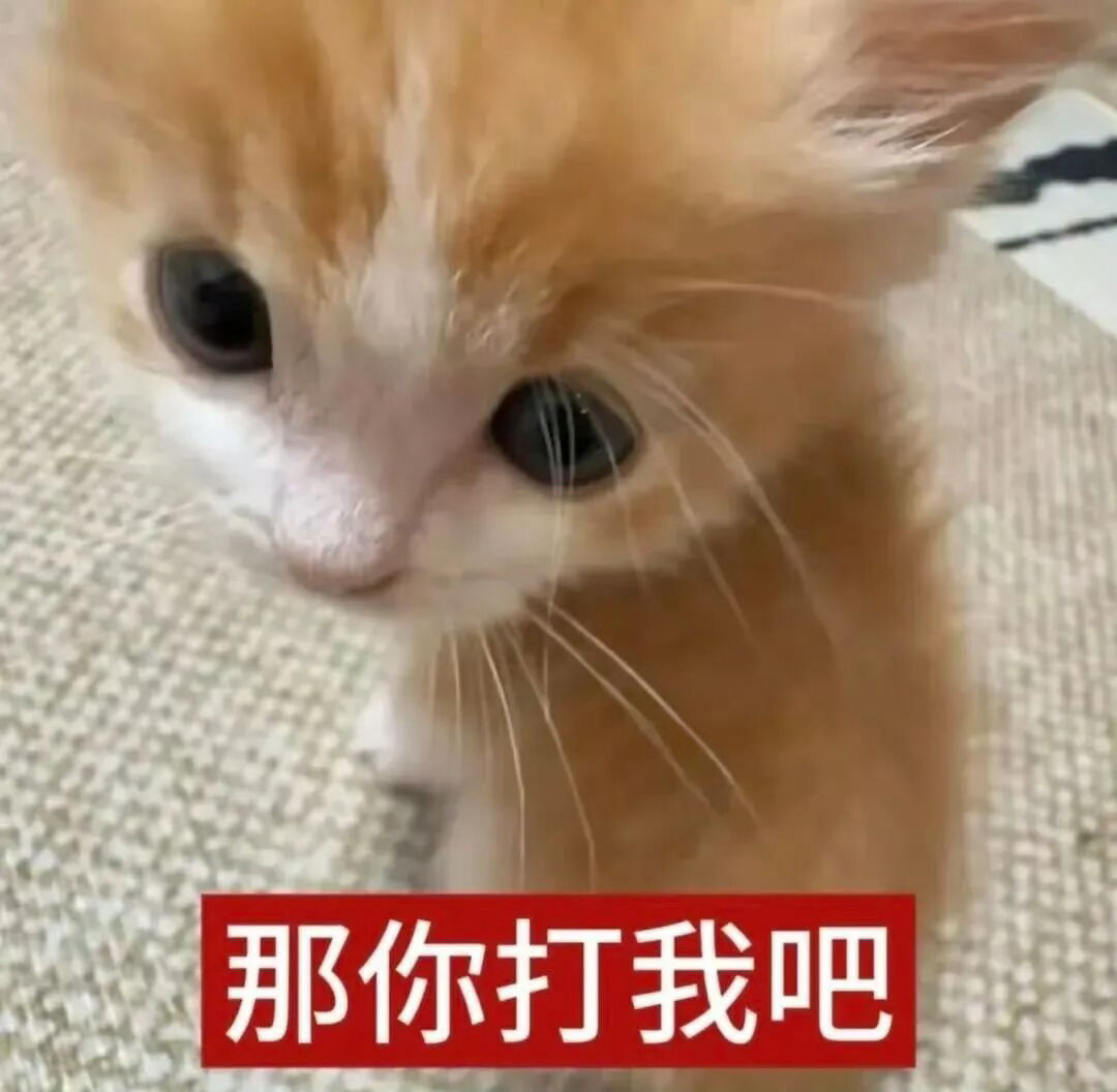 精神世界往往比物质世界更辽阔这句话我将在下次被我妈说躲在屋里看小说的时候狠狠复诵