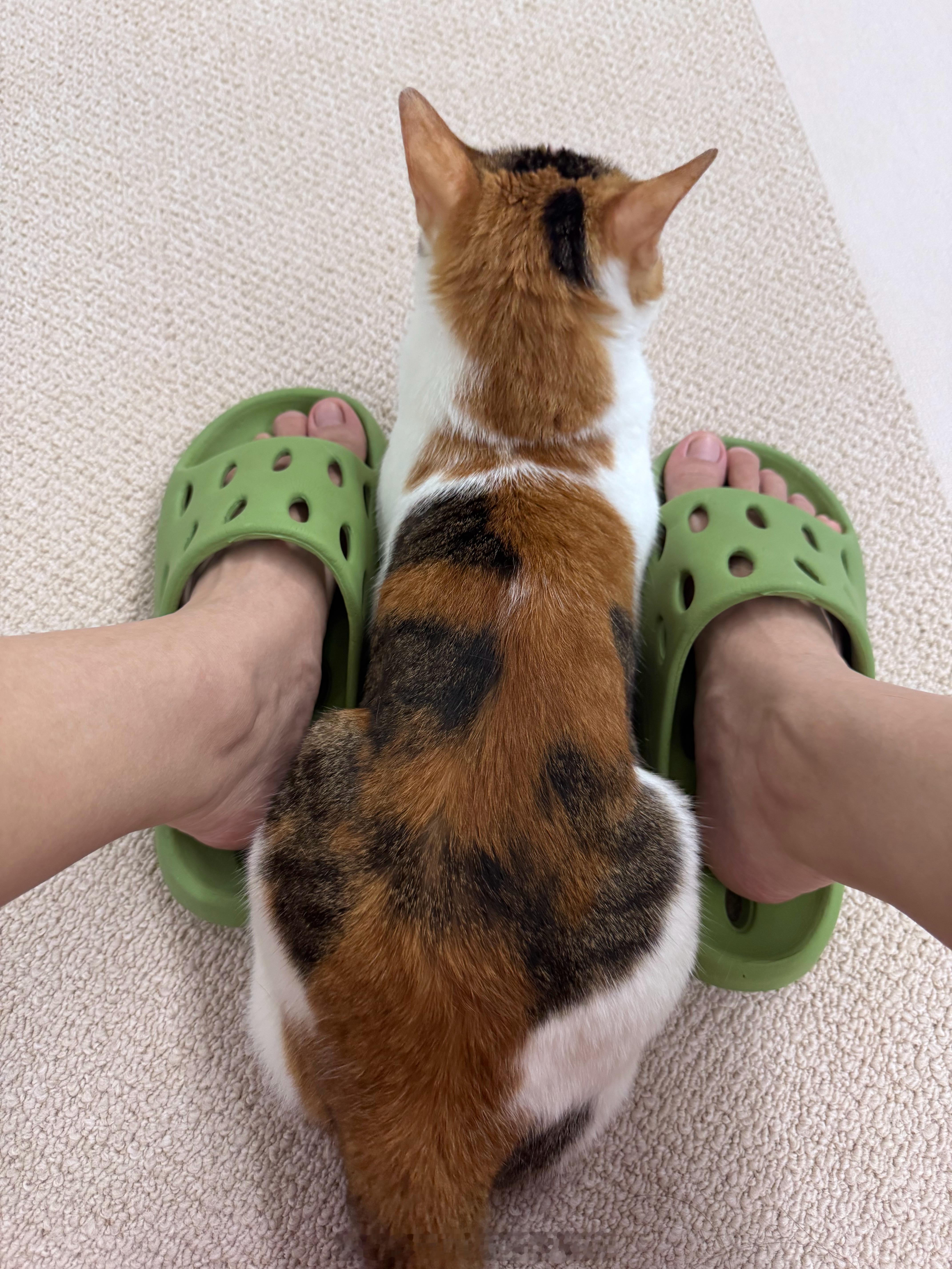 人，咪爱你 ​​​