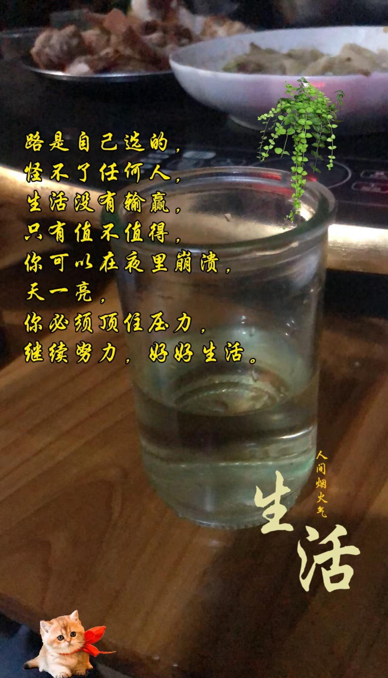 微醺好睡觉