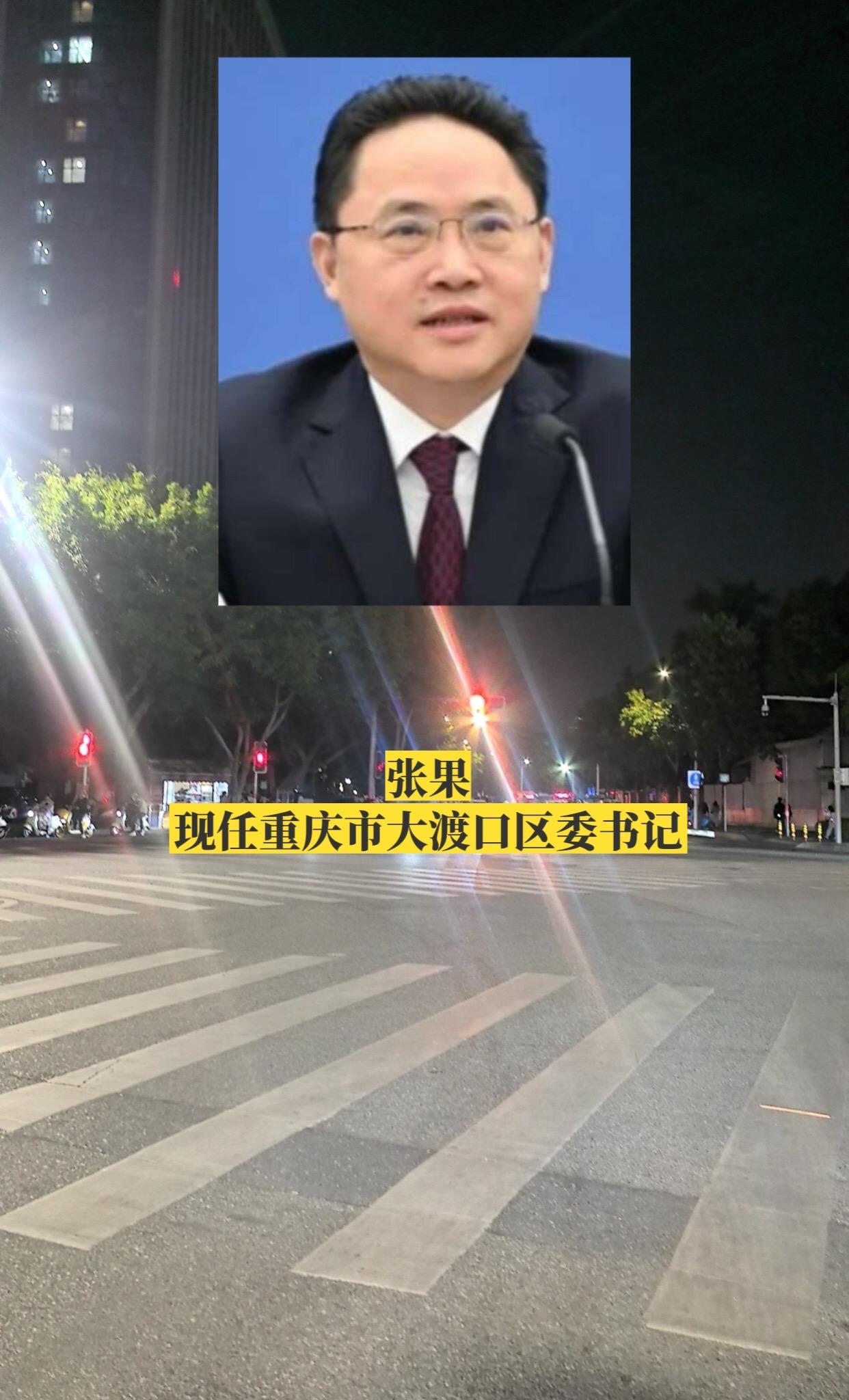 重庆大渡口区委领导。