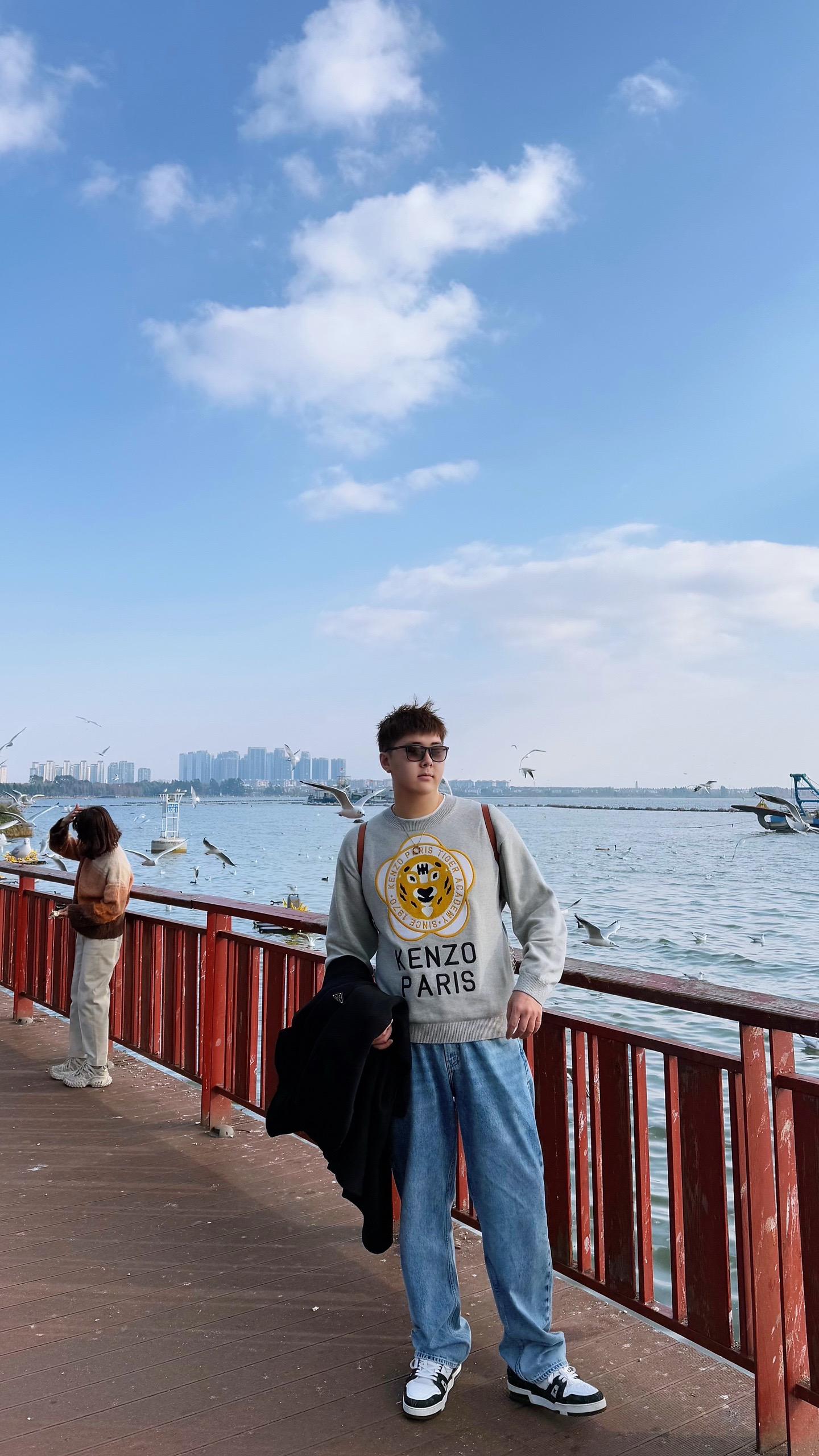 和我一起看海鸥。