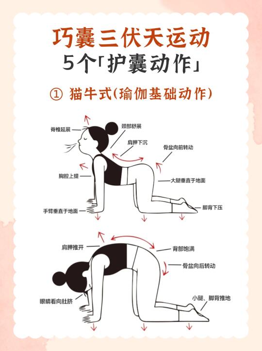 三伏天巧囊怎么运动？每天10分钟，5个动作