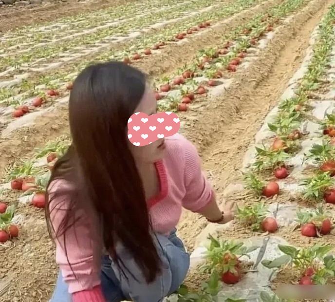 现在的西红柿都这么长了吗？[what]我差点就信了！在线等个懂行的给解释一下，这