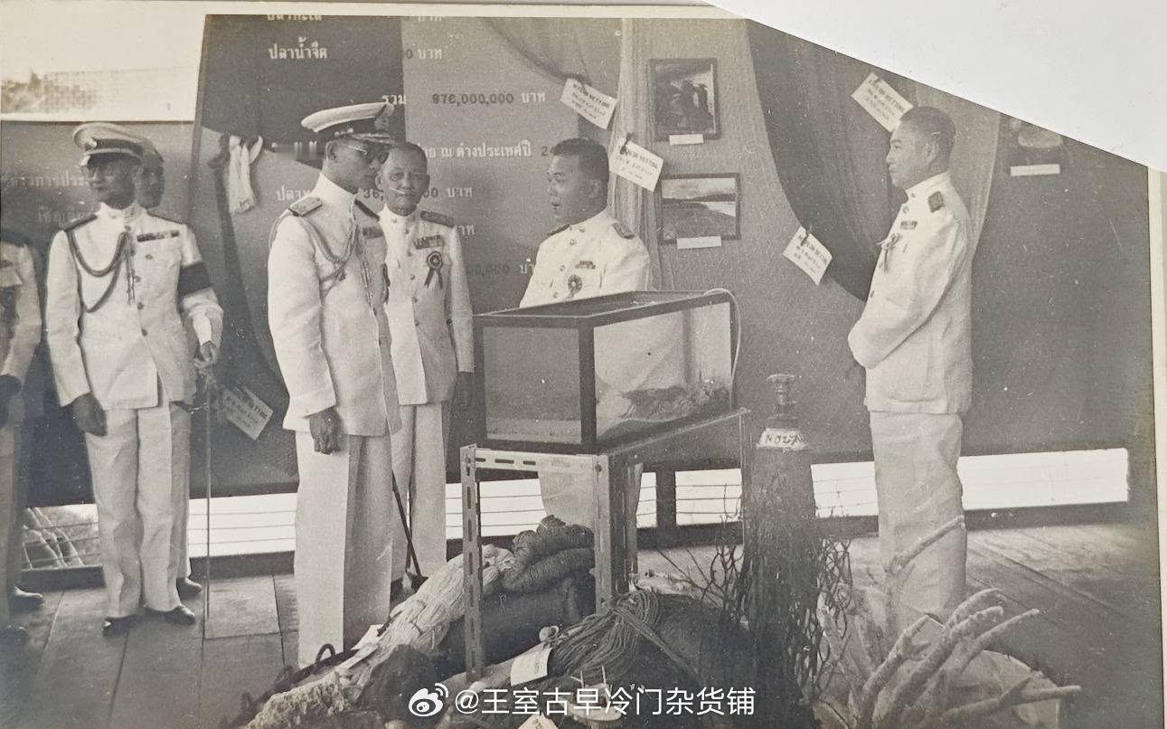 王室王室泰国王室暹罗往事 老照片：1957年的九世，合影的是当时的陆军元帅和农业