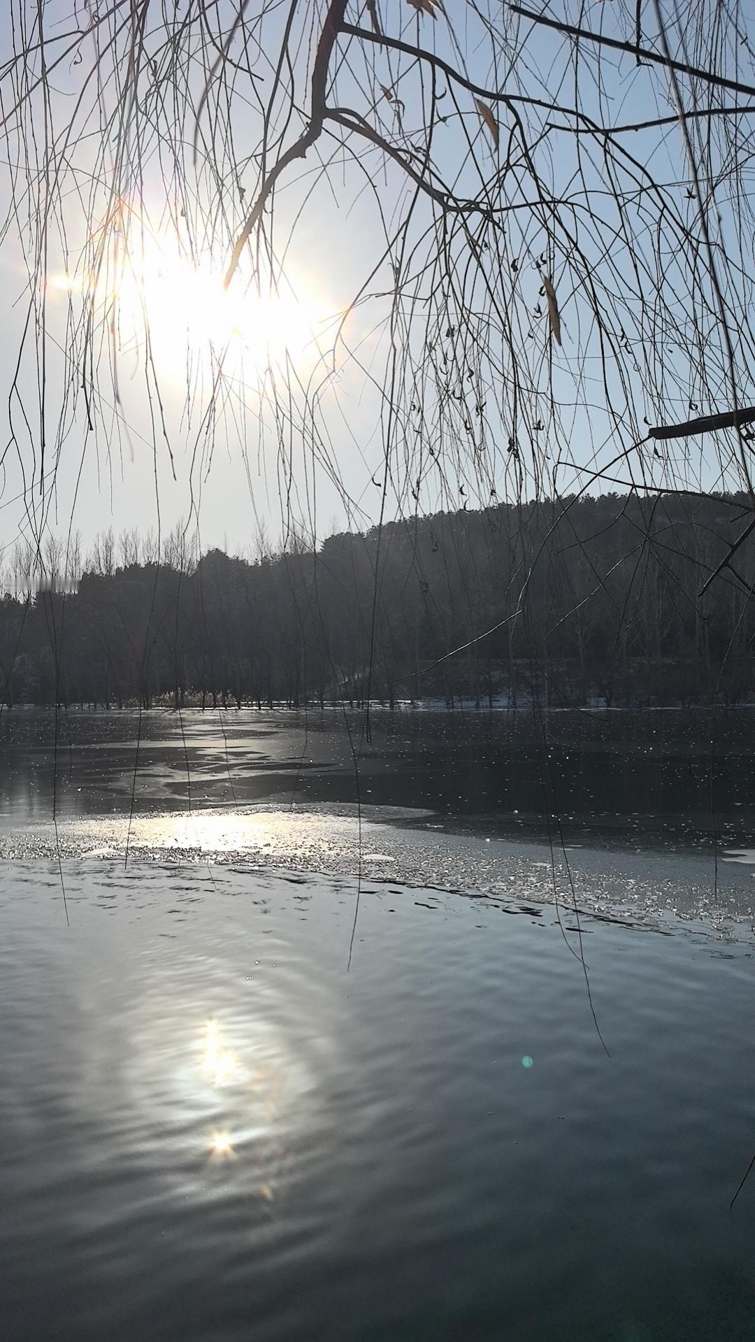 分享一张最近随手拍的照片