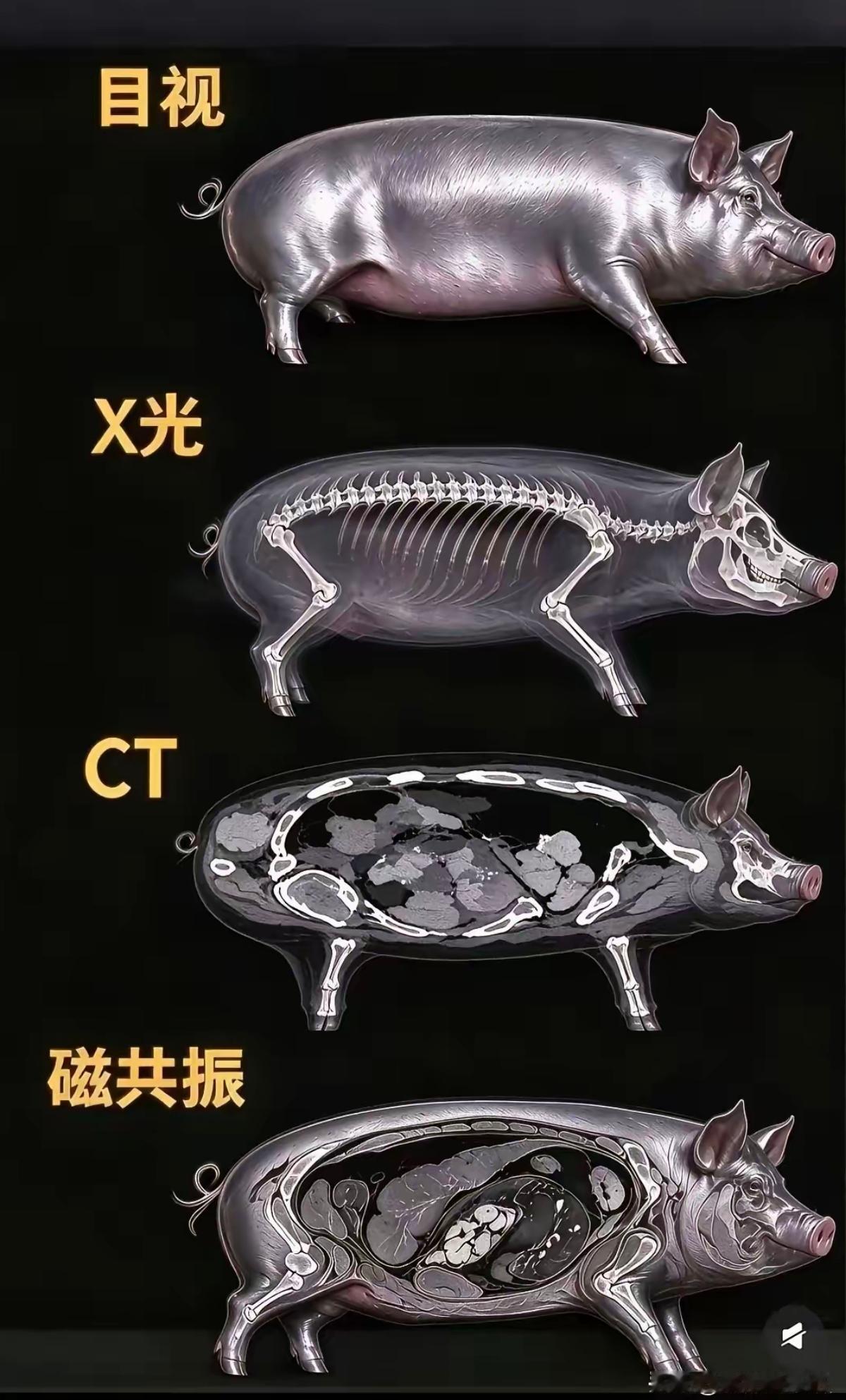 几种方法的“透视”技术，一目了然，真神奇！