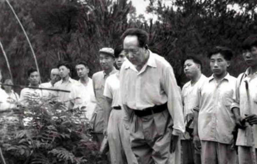 1952年，毛泽连母亲去世，毛主席写信哀悼：给你3百万（合300元），不要来京！