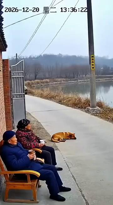 2026-12-20里二13：36：34。