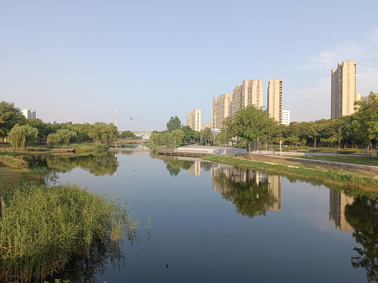 怎样安排自己的老年生活根据自身情况而定：一是尽到责任，帮下一代服务，带带孩子。二
