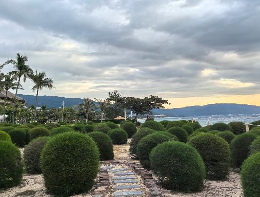 日本的苦日子，还在后面。现在日本属实是有点搞不清状况。因为本质上来说，当前的国际