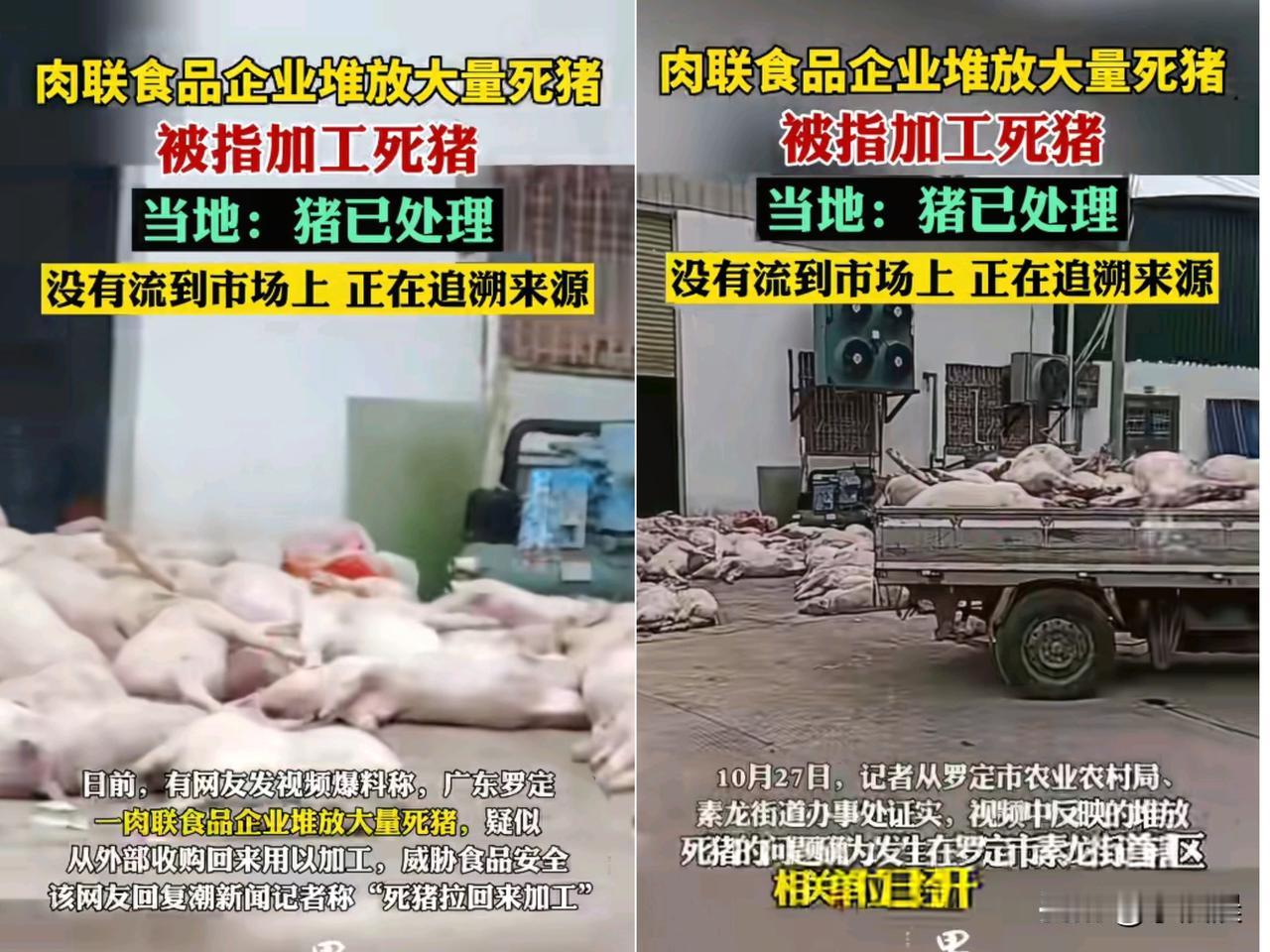一觉醒来，完全没胃口了！

先是酸菜加工池里抽烟吐痰，

再到食品厂“死猪门”事