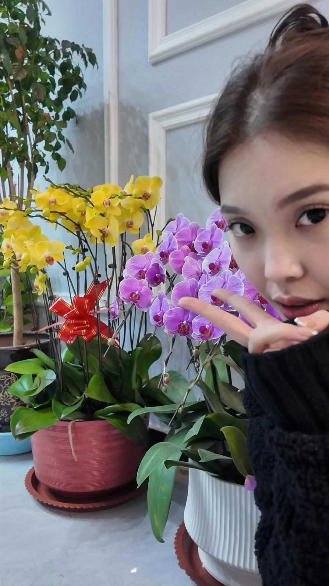 宝宝的少女心  忙碌的一个月 