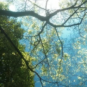 阳光信用 阳光信用每日一善 要有一颗善良的心、宽广的心、美好的心，感恩的心，这样