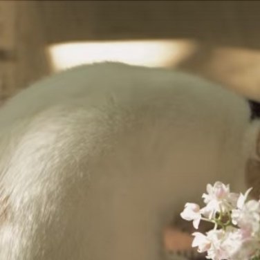 每日一善  阳光信用 熊猫守护者 无论走到哪里，我们都要学会支撑自己，失败时给自