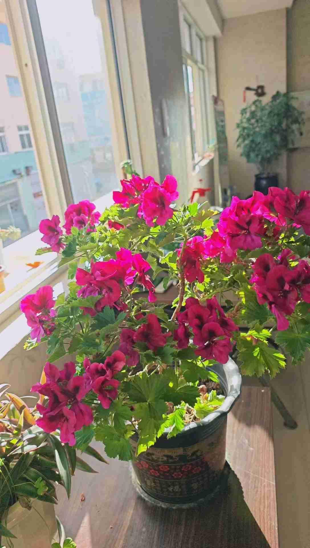 我的今日状态：😁轻松愉快
我这里的天气：☀️晴天