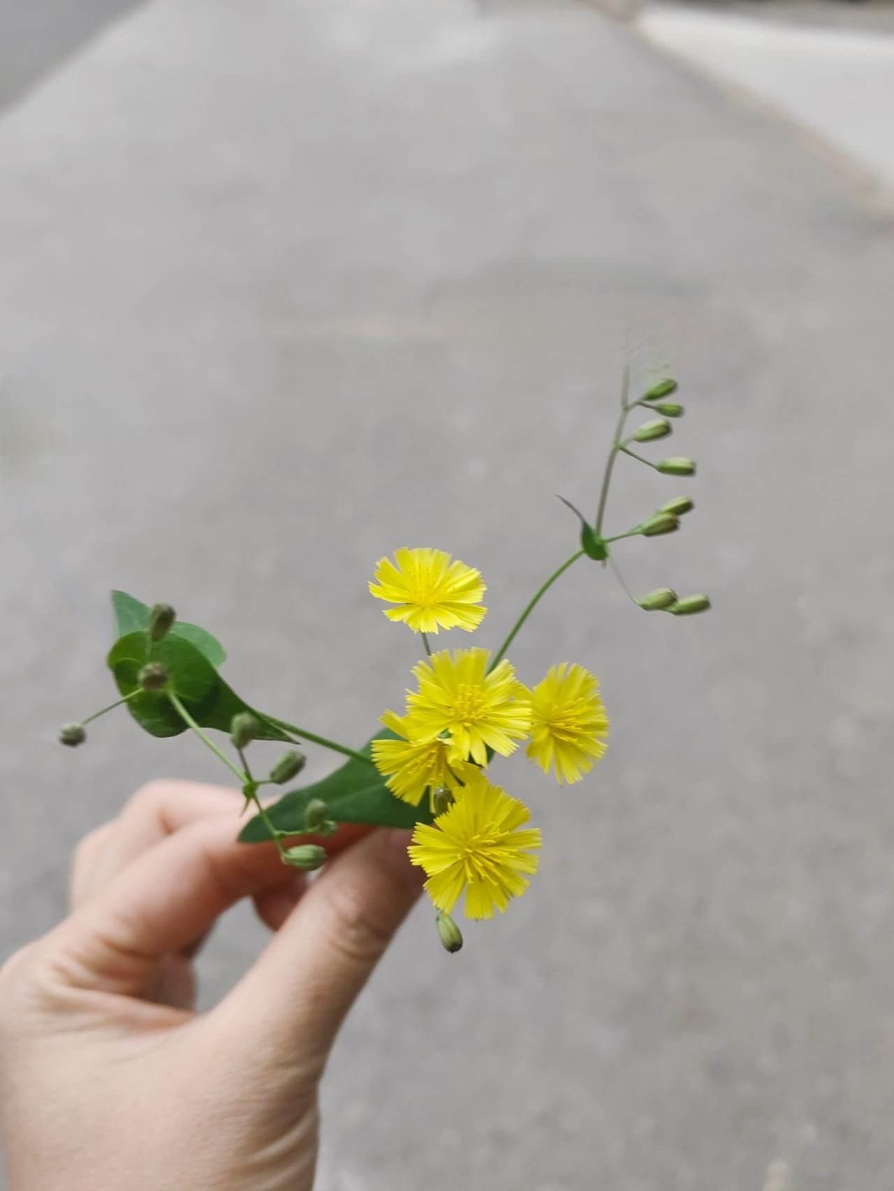 瞧瞧我家这三位大老爷们，真是没一个让人省心的，全是变脸小能手！
 
今天老二学校