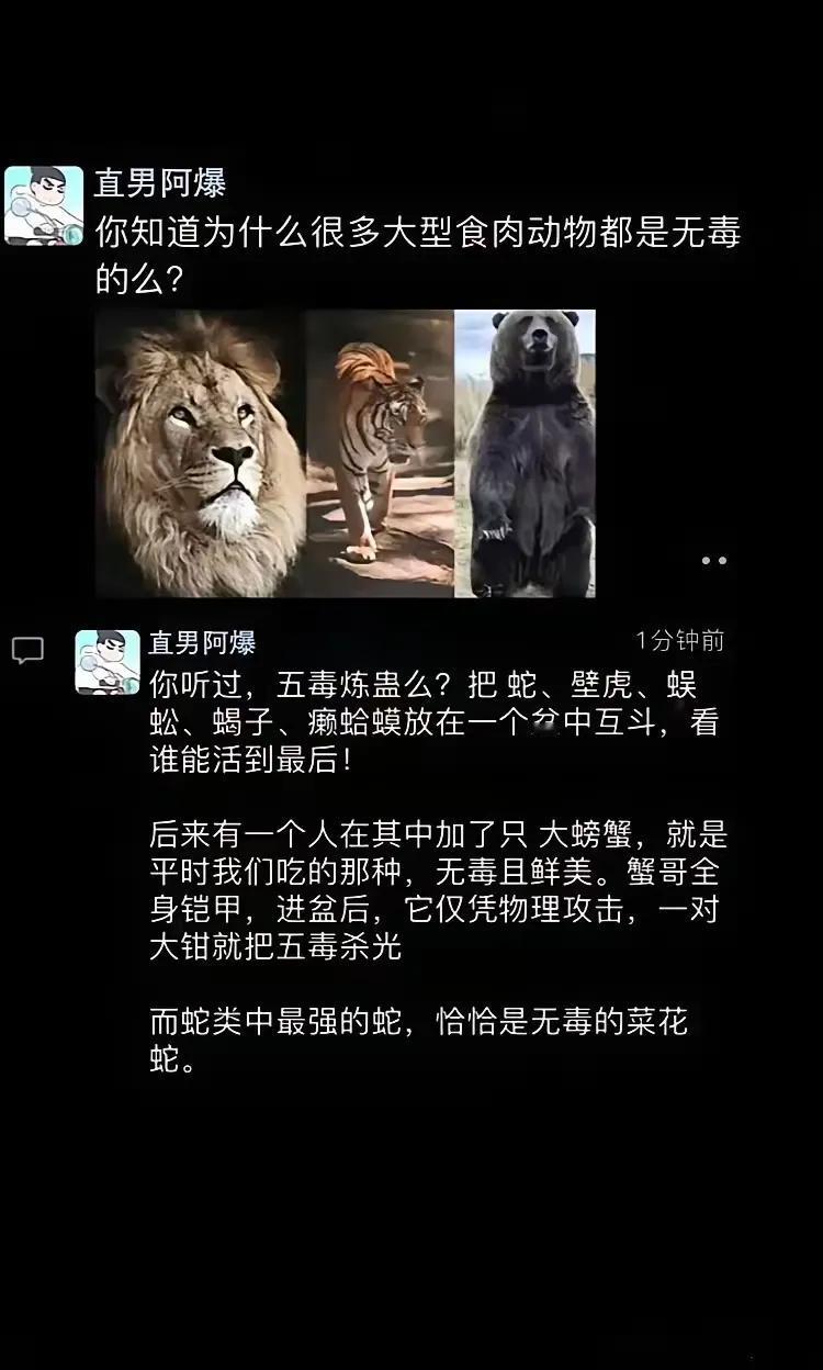 为什么说蛇类最强的是无毒的菜花蛇？