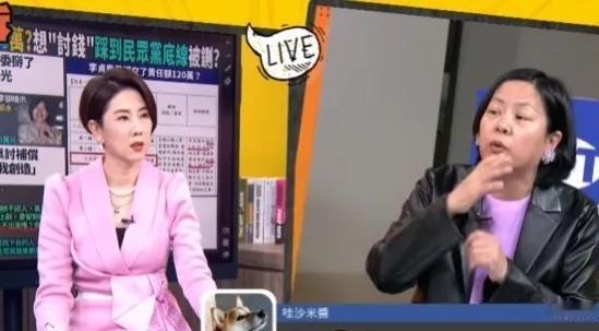 李贞秀上绿营节目大骂黄国昌是小人，说不能让黄国昌把民众党变成时代力量。
李贞秀是