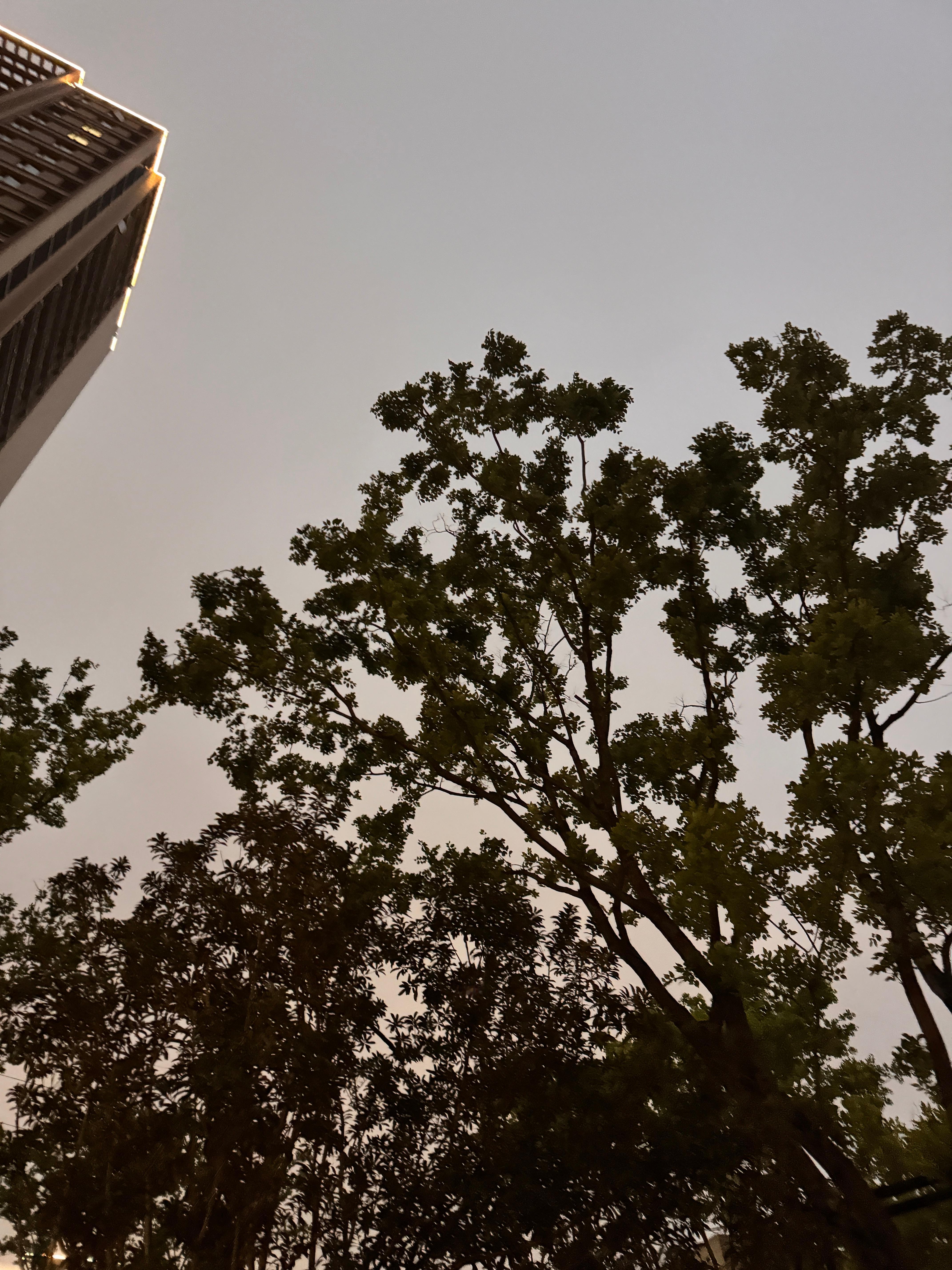 乌云密布 快逃！ 