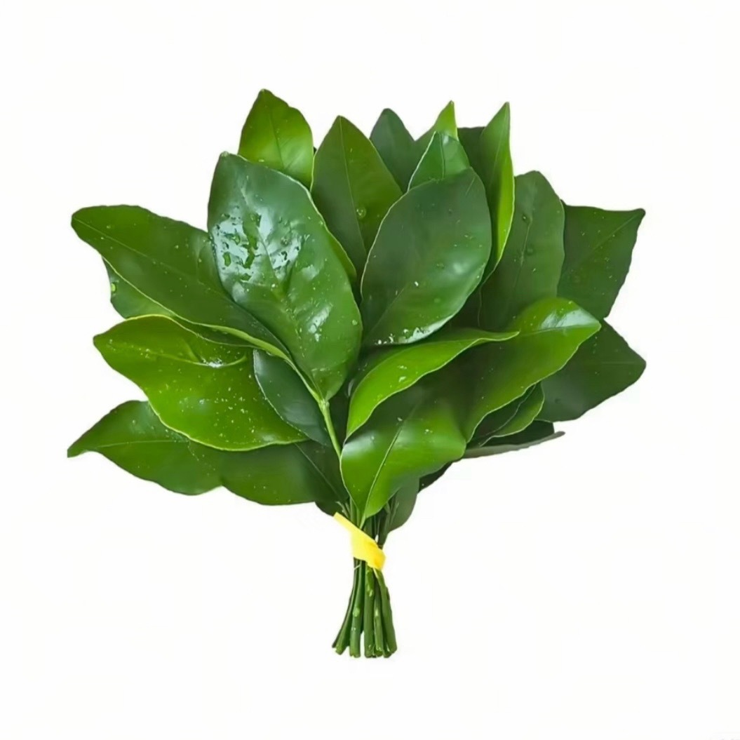 丁程鑫发博报平安给小丁儿祛祛晦气早日康复噢！