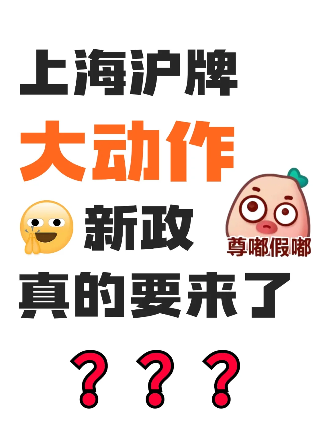 沪牌大动作🔥新政真的要来了⁉️