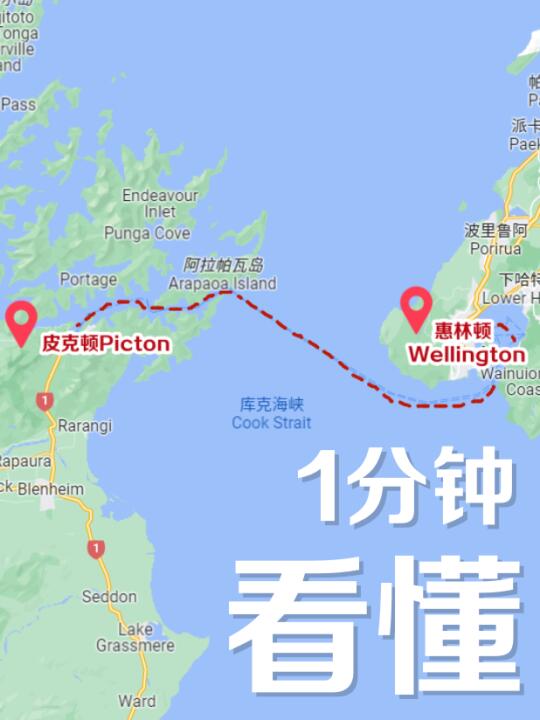 25年2月更新💁‍♂新西兰南北岛轮渡攻略