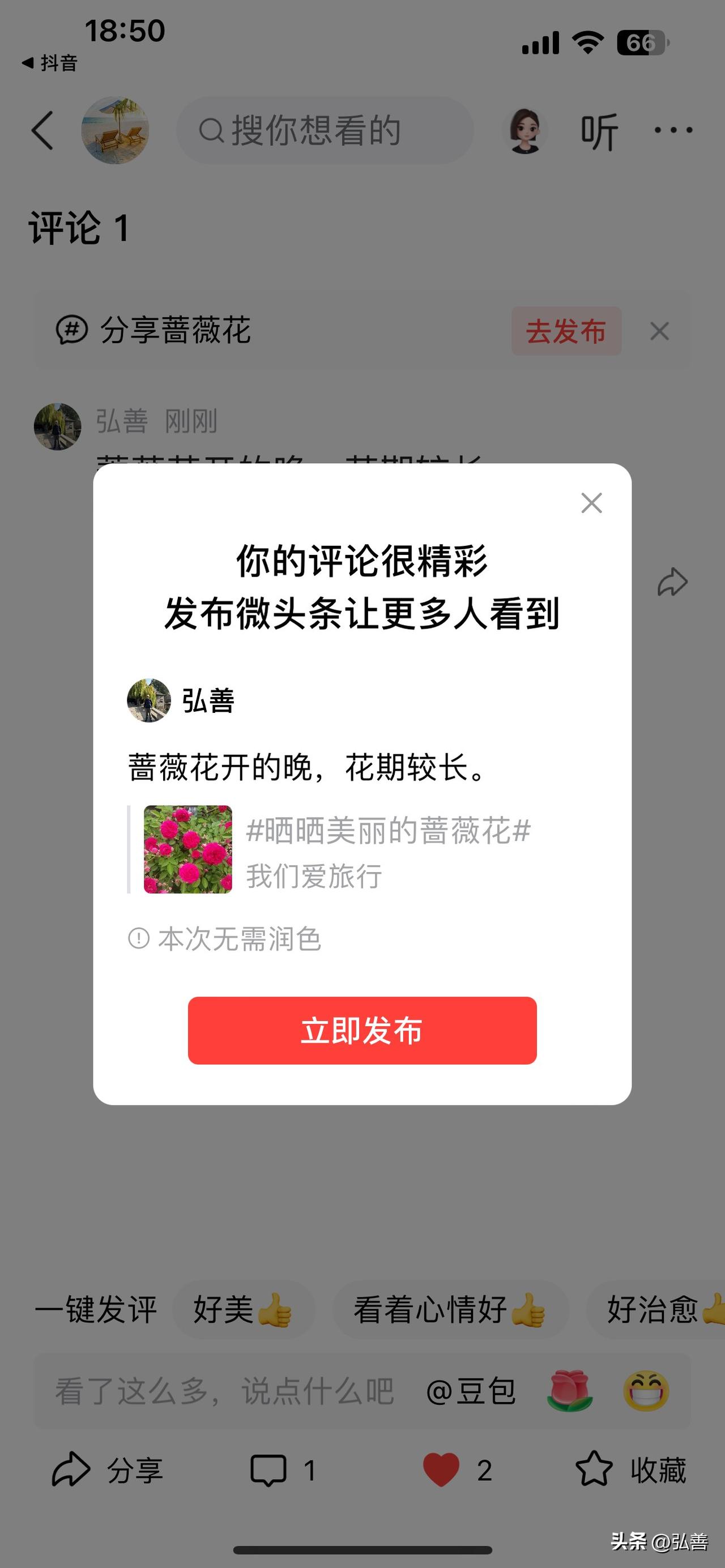 蔷薇花开得晚，却有着超长的花期。一般五月前后才开始绽放，能一直持续到九月，差不多