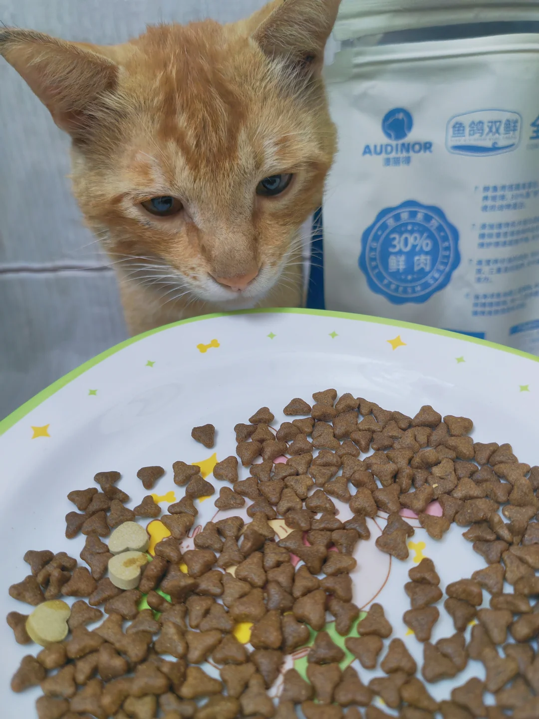 晒晒🐱今天的晚餐