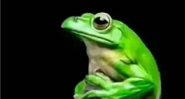 【果粉和绿蛙不要猖獗】

这两天，一堆潜伏果粉和绿蛙仿佛吸了口大烟，兴奋了！
