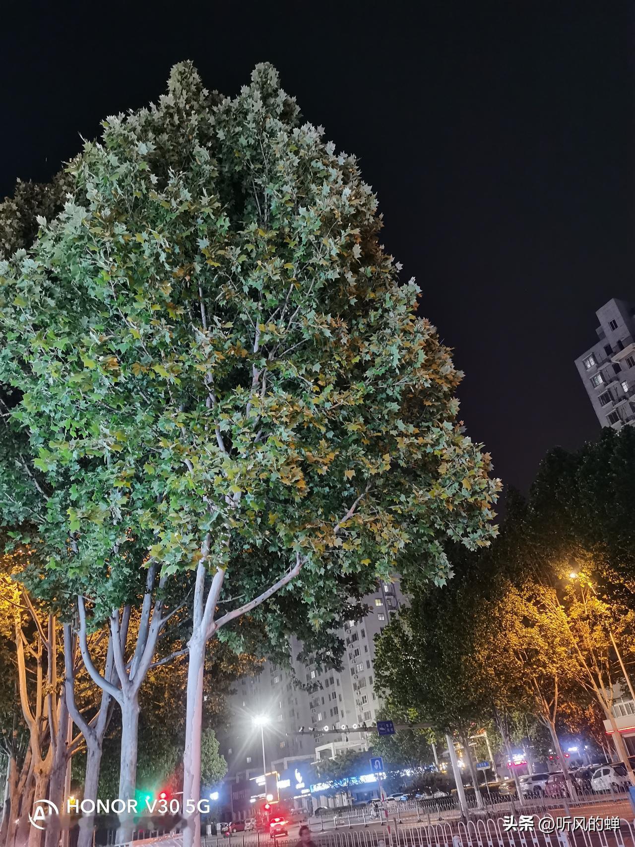 这样的媳妇不能要。

1、不会也不愿学做饭的
2、只按自己口味做饭的
3、吃饭不