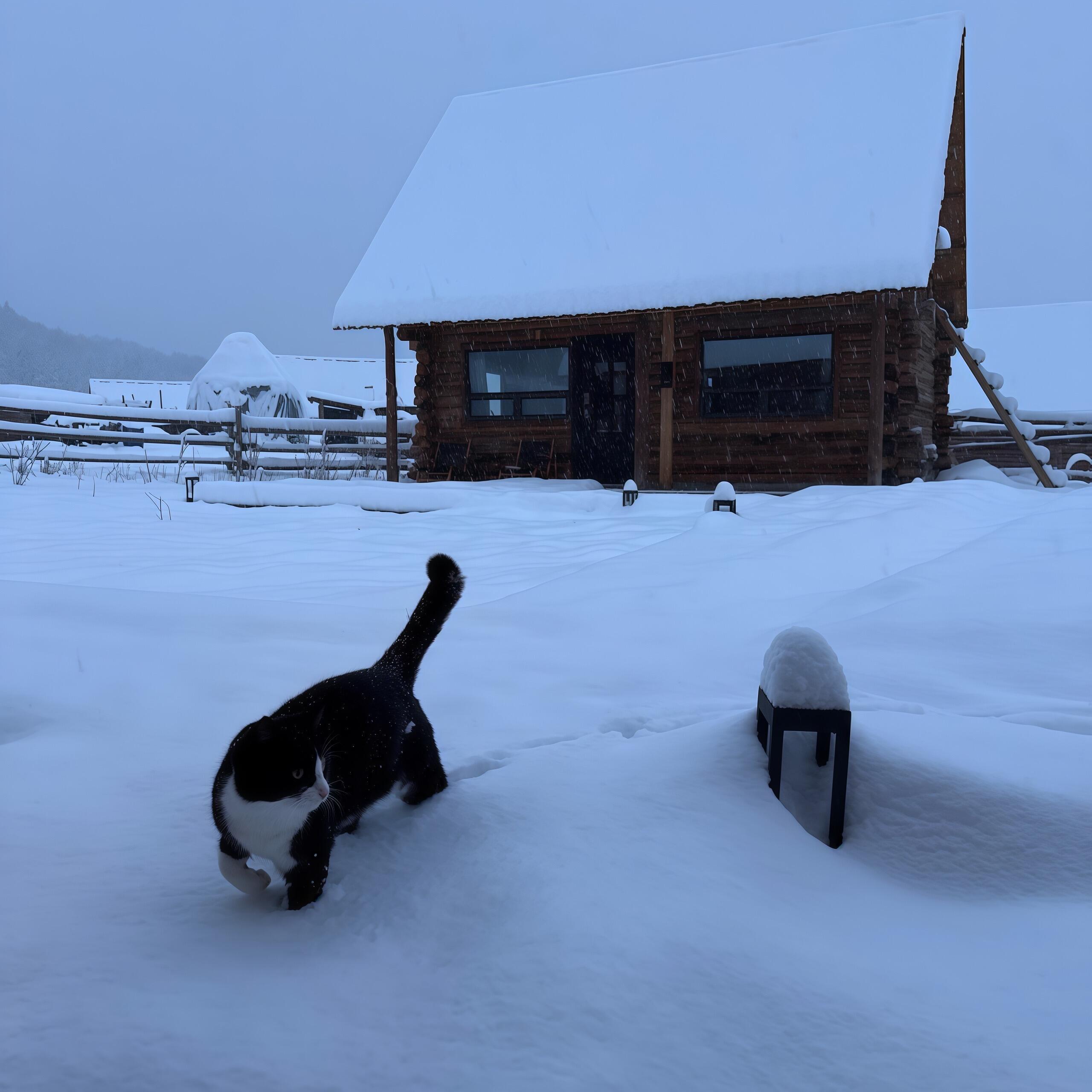 冬日女生头像 | 背景图★. ₊冬日幸福時⸝⸝>ヮ<⸝⸝。⋆❄️ 