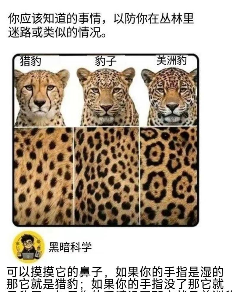 有趣梗图丨以防你无法分辨这些动物
负鼠表情包 此图有梗 莫名其妙击中笑点 mem