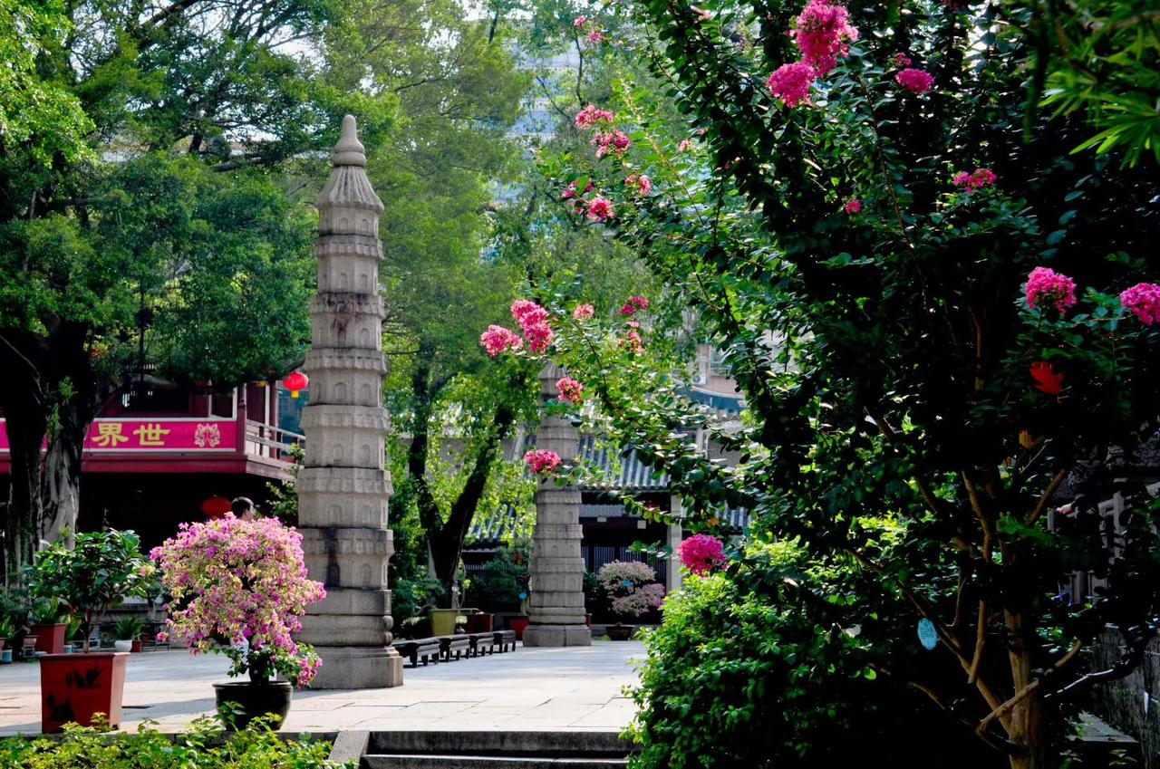 广州街道景色 镜头下的广州 看看你拍的广州 城市观察员 城市.街拍 广州城市景观