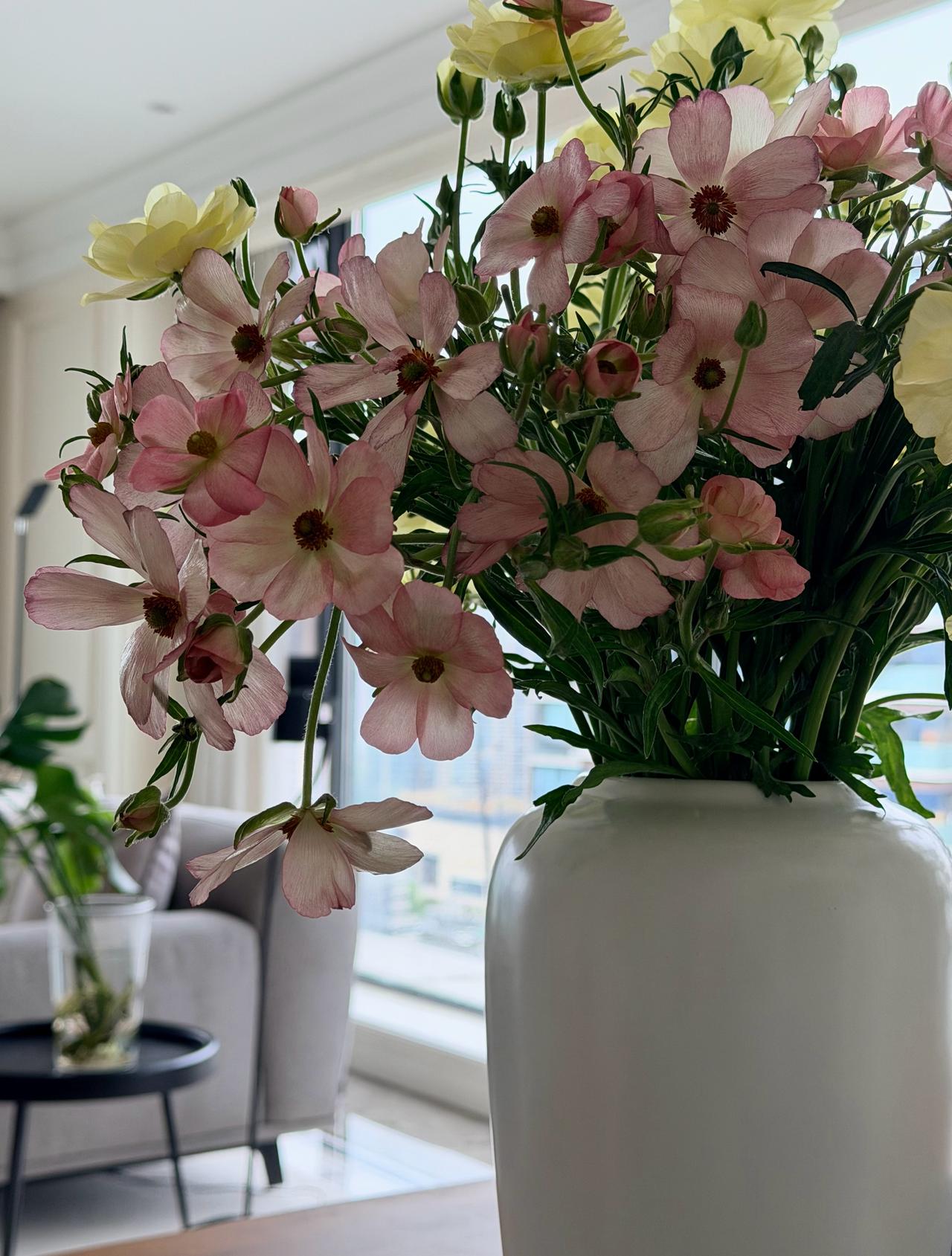 不需要正常
正常多没意思啊～ ​​​