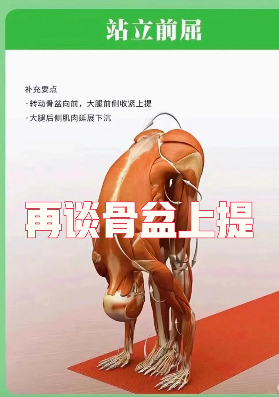 骨盆上提