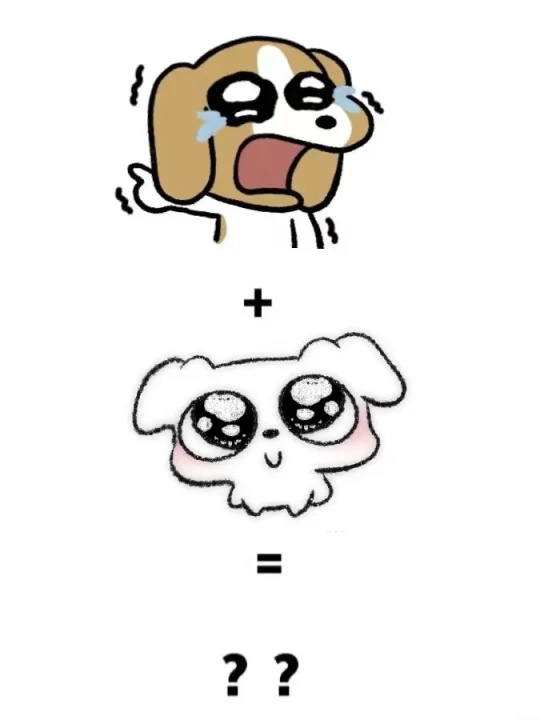 多栋+这狗=？？
