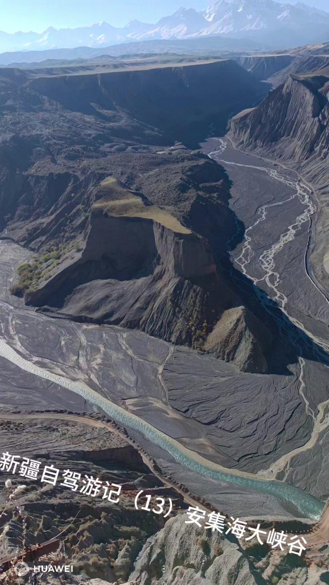 🌿在新疆沙湾市，藏着一处被称为
