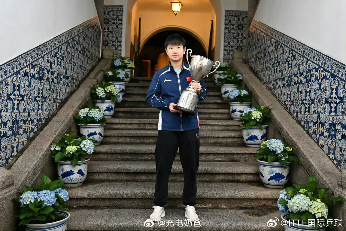 澳门世界杯2026 王楚钦、孙颖莎夺冠后，在澳门市政署大楼和“天浪淘园”内的澳门